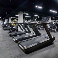 Профессиональная беговая дорожка DHZ X-8600P