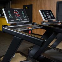 Профессиональная беговая дорожка DHZ X-8600P