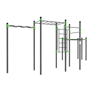 W229 Воркаут (рукоход змеевик и клас., швед стенка, 2 перекладины, брусья двойные) ZAVODSPORTA